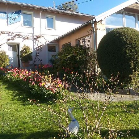 Pension Jana Tatrovice Екстериор снимка